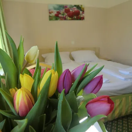 Rosenhof Am Main אופנבאך