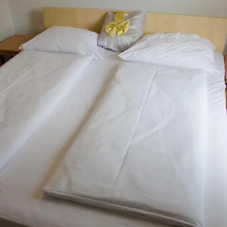 Hotel Rosenhof Am Main 3*