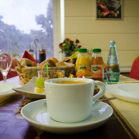 Rosenhof Am Main Hotel 3*