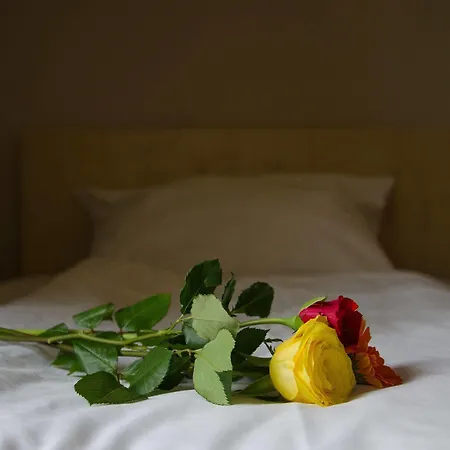 Hotel Rosenhof Am Main Offenbach am Main