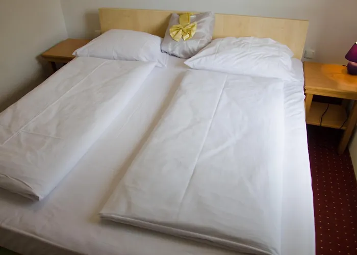 Szálloda Rosenhof Am Main 3*