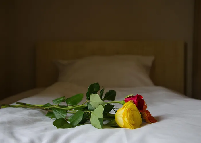 Rosenhof Am Main Szálloda Offenbach am Main