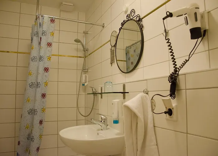 Rosenhof Am Main 3* Offenbach am Main